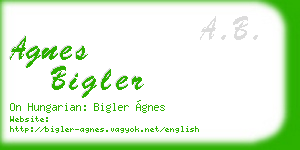 agnes bigler business card